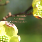 10-Minute Anytime Meditation
