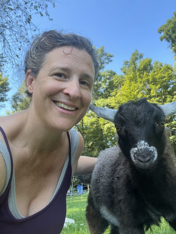 Goat Yoga! - Image 3