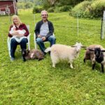 Fiber Animal Experience