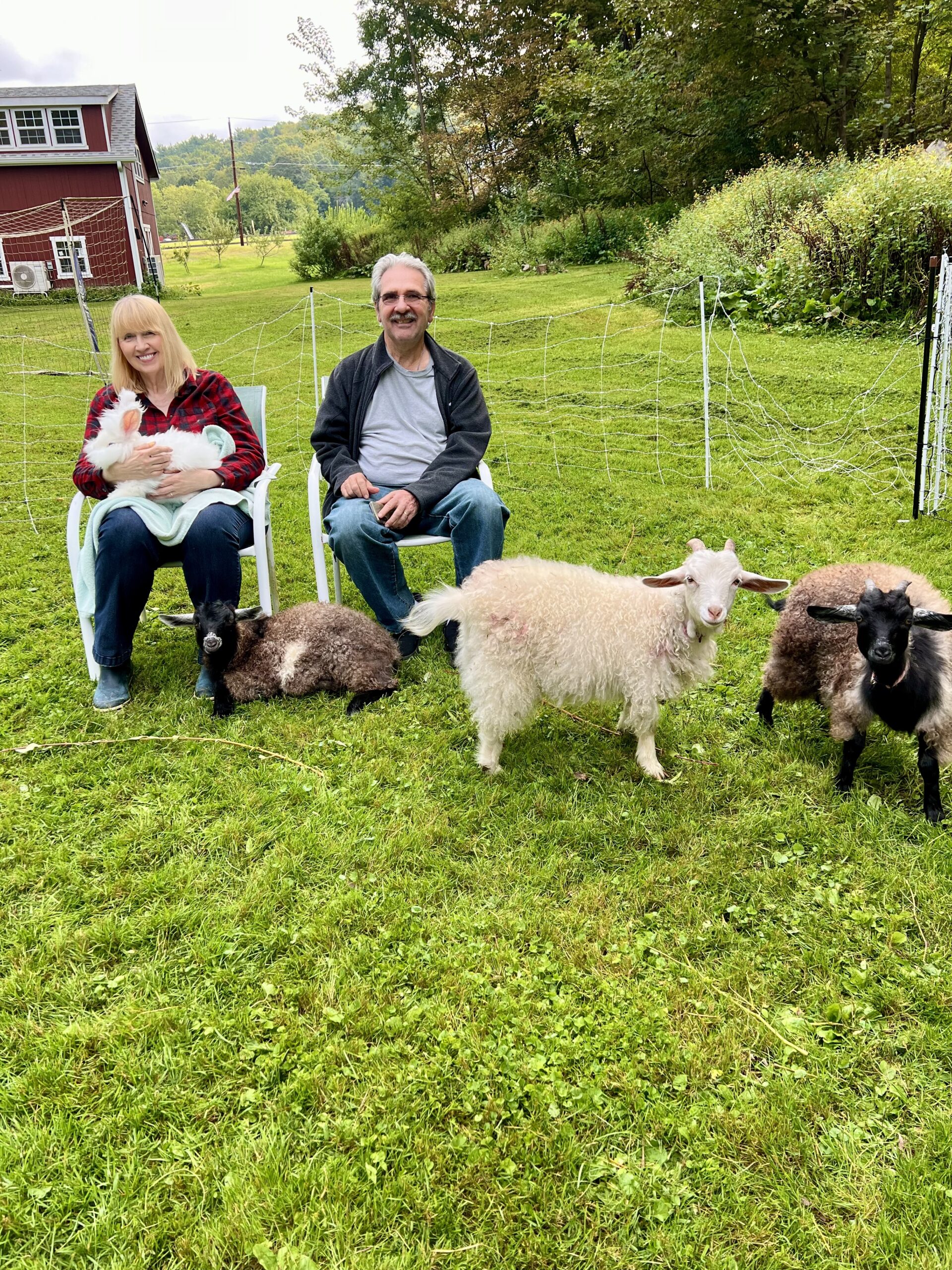 fiber animal encounter